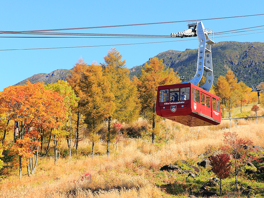 北八ヶ岳ロープウェイ